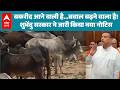 Hindu Muslim Bakrid Controversy: बकरीद से पहले विवाद बढ़ा, सरकार ने नया नोटिस जारी किया।  |ABPLIVE