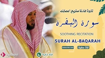 سورة البقرة كاملة 💖 | تلاوة خاشعة بصوت الشيخ ماهر المعيقلي | راحة وطمأنينة