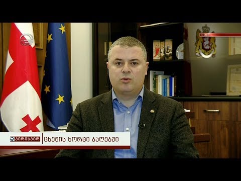 ოთარ დანელია დამრღვევი სისხლის სამართლის პასუხისგებაში უნდა მიეცეს