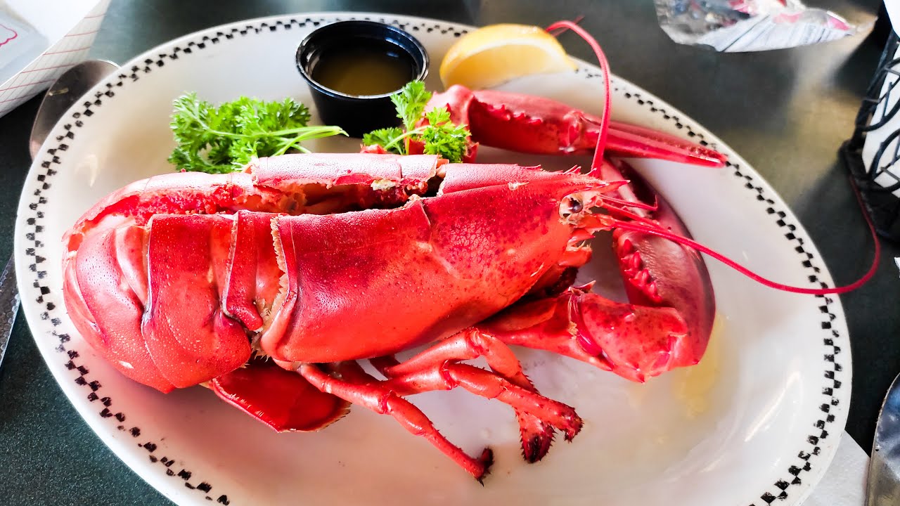 Boston LOBSTER & LOBSTER ROLLS around the Boston Area Provincetown