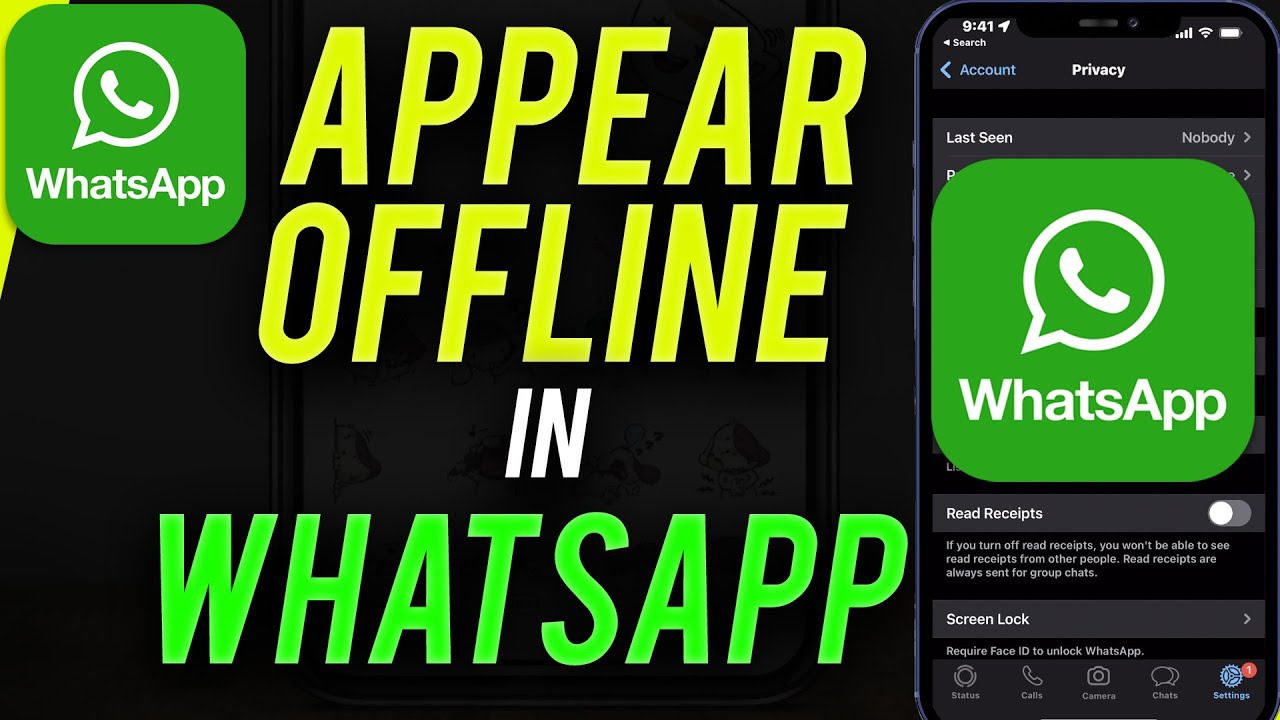 How to activate 'Hidden Mode' on WhatsApp so you don't appear