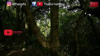 Ya Maulana Nissa Sabyan Cover Thasni Fathima