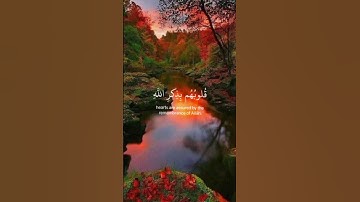 قرآن كريم #راحة نفسيّة #اكسبلور #لايك