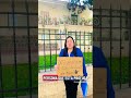Dolor de madre