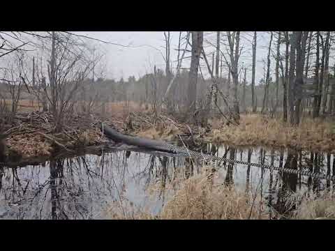 Unclogging Culvert To Drain Flooded Area And Triangular Structure Culvert