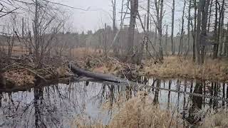 Unclogging Culvert To Drain Flooded Area And Triangular Structure Culvert