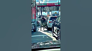 IPS Security Officer🔥Khatarnak entry #ips #security #police #upsc #ias #motivation #bgm #animal