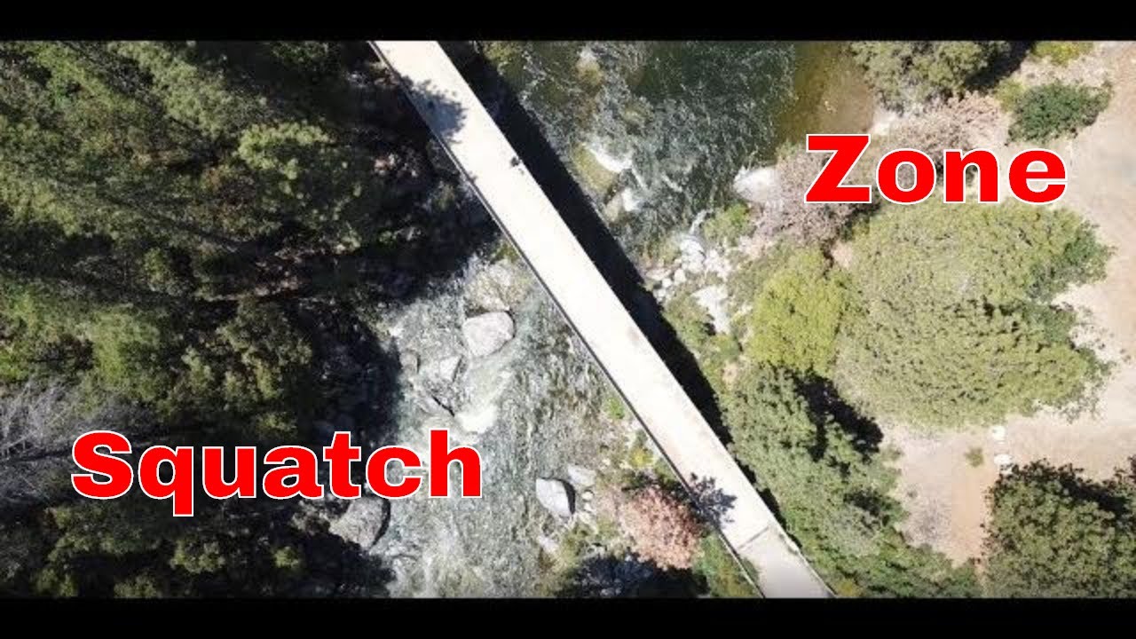 Live In The Zone! - YouTube