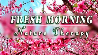 🌷͙֒🌞Good Morning Spring🌷͙֒Nature Therapy To Start Your Day W/ Positive Energy🌷͙֒Blossom Meditation#2