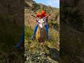 TRY NOT TO LAUGH SPIDERMAN DEER FUNNY VIDEO 😂😂 #gta #comedyvideos #funnyclips #spiderman