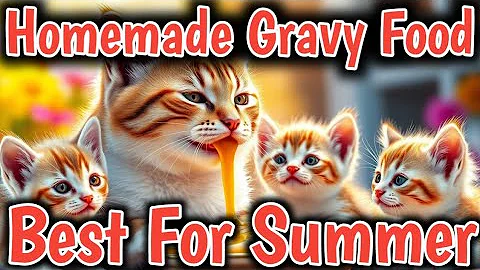 Watch the video about Best Homemade Cat Food Gravy Recipe For Cats in Summer Season🥵😺homemade cat food gravy For summer