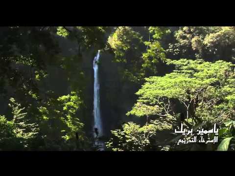 الإسترخاء التدريجي