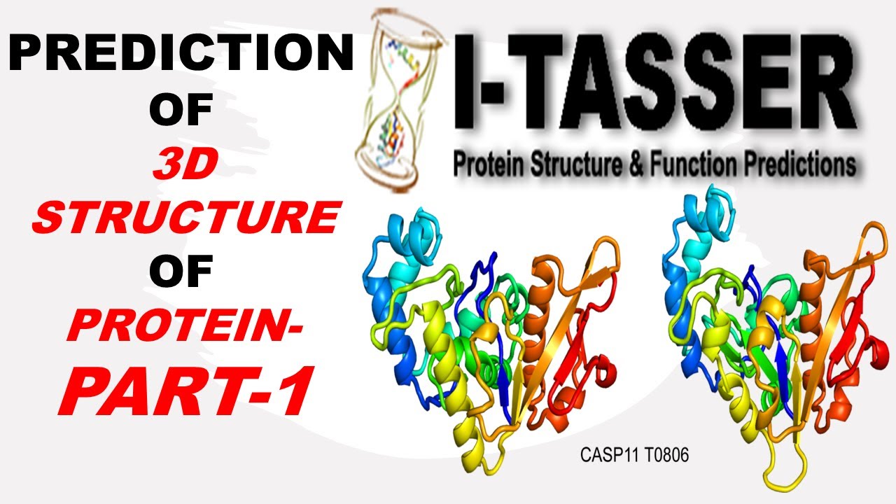 3d Protein Structure