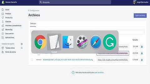 custom fonts on pagefly