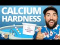 How To Balance The CALCIUM HARDNESS In Your POOL | Swim University