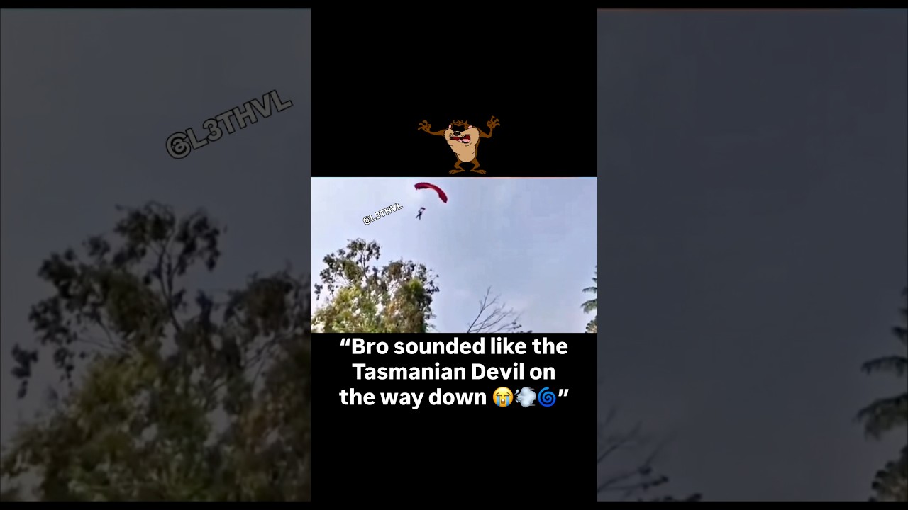 “Bro sounded like the Tasmanian Devil on the way down 😭💨🌀” 