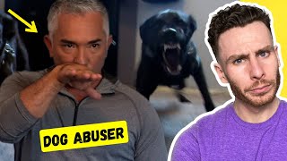 Cesar Millan Hits Scared Dog For 'Training' by BrightDog Dog Training 1,278 views 4 months ago 8 minutes, 46 seconds