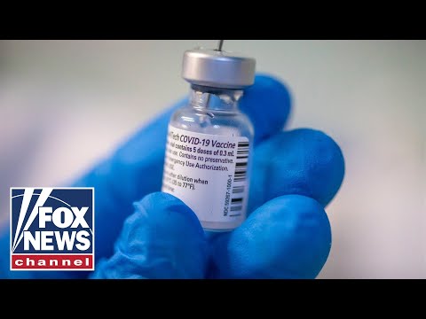 Vaccine mandates have started. Will your town be next? - FOX News Rundown