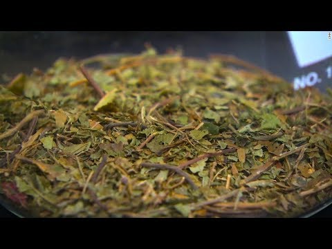 Can the kratom plant help fix the opioid crisis?