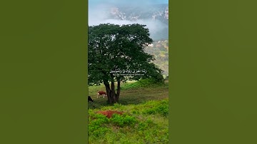 ربنا اغفر لي ولوالدي وللمؤمنين #عبدالله_الموسى القارئ عبدالله الموسى