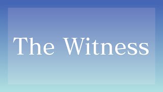 【The Witness】深夜に謎ときパズル【詰草マカロル/狸Vtuber】
