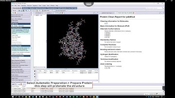 How to prepare protein structure for molecular docking using Discovery Studio (pre-docking steps)