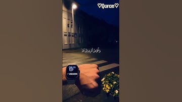 وأفوض أمري إلى الله...سورة غافر...قرآن كريم♡