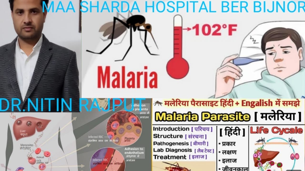 Malaria