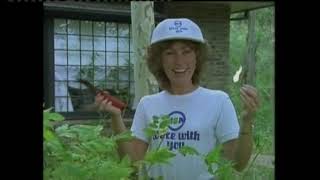 Flashback Sunday Nbn Idents Goodbye Mosbri P1