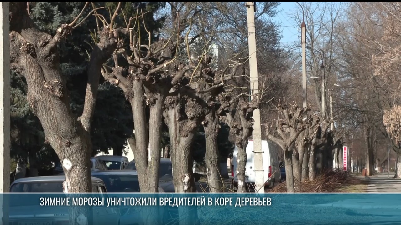 Весенние работы на улицах Бендер