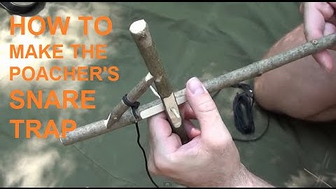How to make the poacher