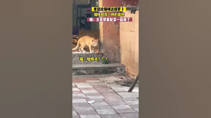 送礼的最高境界 #funny #趣味 #搞笑 #动物 - 天天要闻
