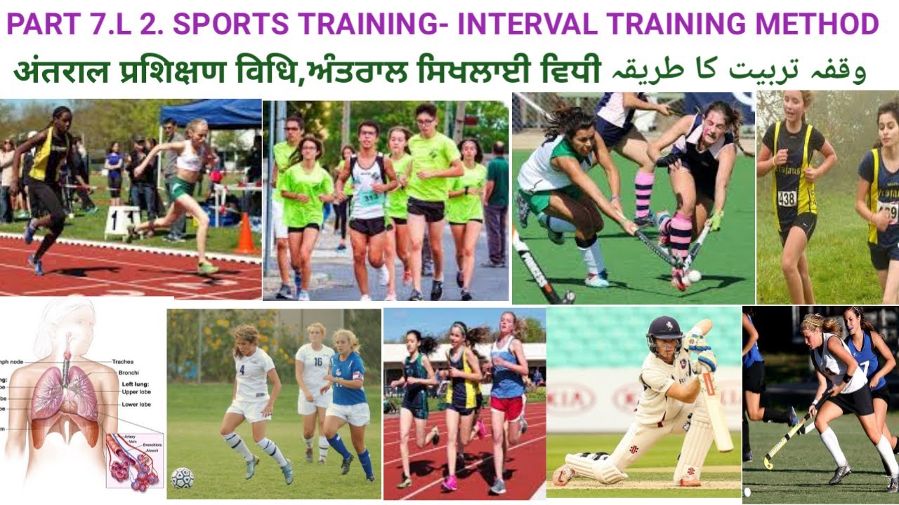 physical education class 12 chapter 2 sports training pseb YouTube