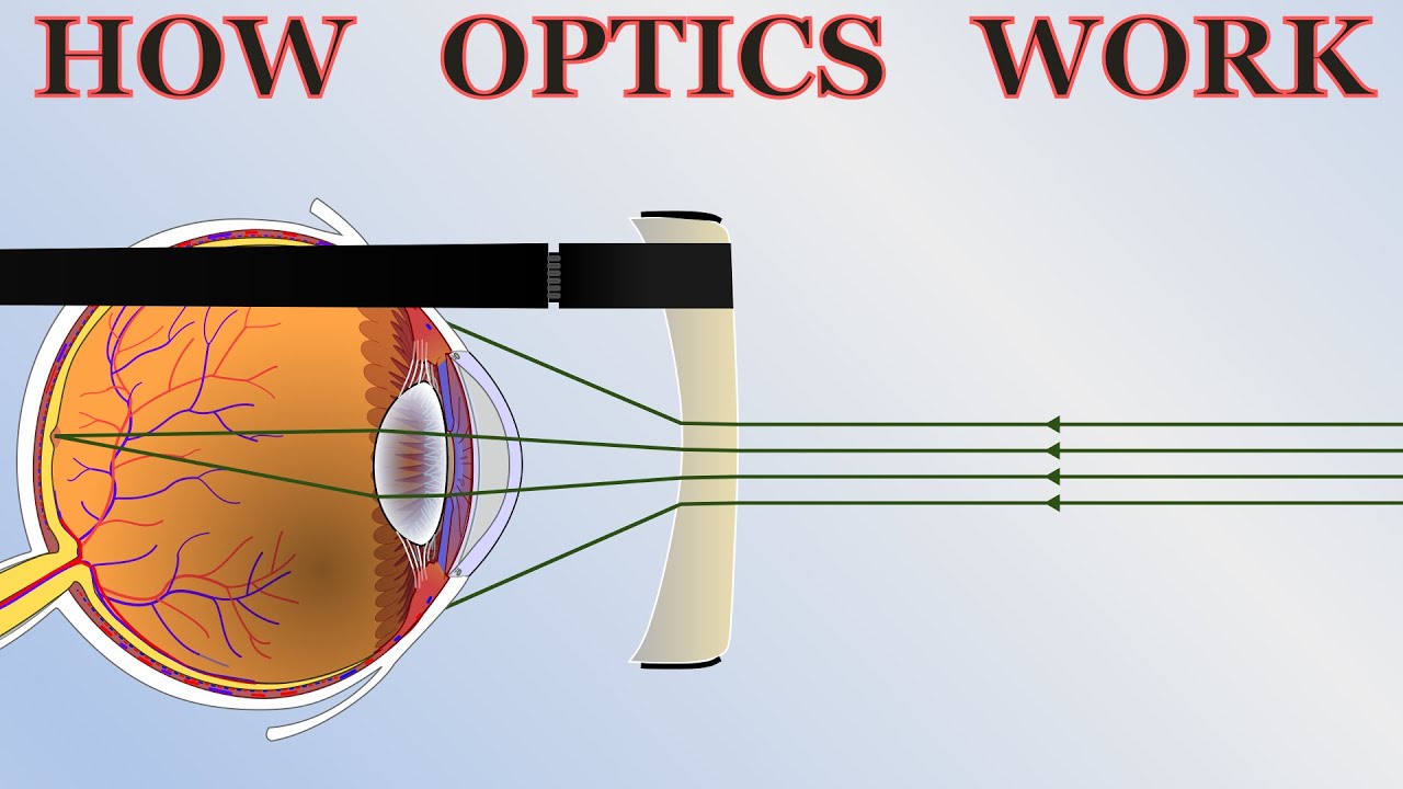 ⁣How Optics Work - the basics of cameras, lenses and telescopes