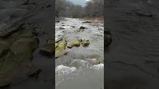 Masallı Cənnət Məkan Əkan