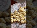 Delicious "gnocchi" from Sardinia!  #gnocchi #slowcooking #sardinia