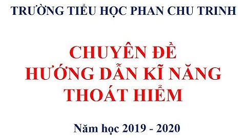 TIỂU HỌC PHAN CHU TRINH VỚI CÁC CHUYÊN ĐỀ VÀ HOẠT ĐỘNG GIÁO DỤC TOÀN DIỆN CỦA NHÀ TRƯỜNG