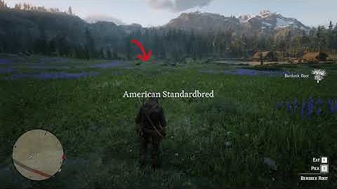 Red Dead Redemption 2 RDR2 Gameplay -Chaotic random encounter