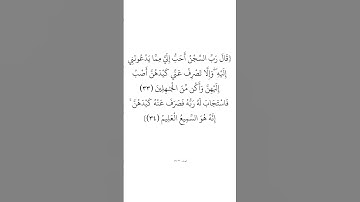 سورة يوسف (٣٣-٣٤) _ الشيخ بدر التركي