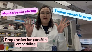 видео: ХУЛГАНЫ ТАРХИ НУГАСНЫ SAMPLE БЭЛДЭХ АРГА- Mouse Brain Slicing and Preparation for Paraffin Embedding картинка: ХУЛГАНЫ ТАРХИ НУГАСНЫ SAMPLE БЭЛДЭХ АРГА- Mouse Brain Slicing and Preparation for Paraffin Embedding