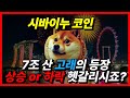 [시바이누] 시바이누 반을 사버린 고래, 물량 나오는지 안나오는지 헷갈리시죠?