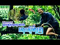 បេសកម្មដំណើរផ្សងព្រេងទៅកាន់ឆ្នេរសមុទ្រភាគខាងលិចនៃកោះស៊ូម៉ាត្រា។