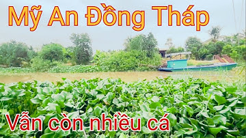 Câu Cá Rô Đồng Mùa Nước Nổi, Điểm Mới Cá Toàn Cỡ Này Giật Đã Tay @SangHuynhVlog