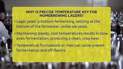 Why Is Precise Temperature Key For Homebrewing Lagers? - The Pint Guy