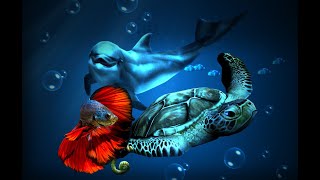 Ocean HD And Betta fish Live Wallpaper full version  Download. 100% Free. screenshot 1