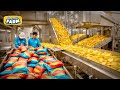 How potato chips are produced in crazy amounts  potato harvesting factory  chips processing line