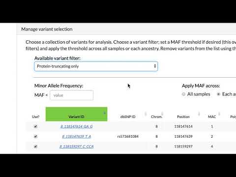 Type 2 Diabetes Knowledge Portal: Introduction to Custom Aggregation Test Interface