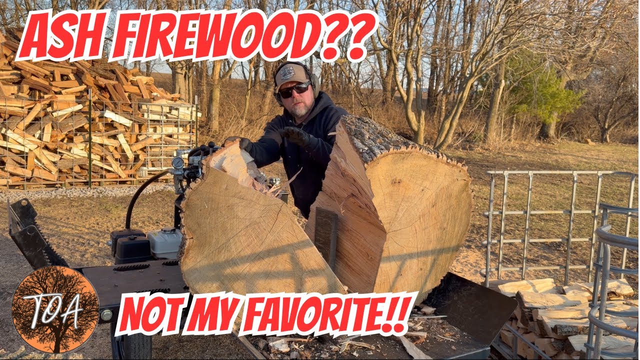 Splitting Ash With The New Wolfe Ridge Demo!! #firewood #wolferidge