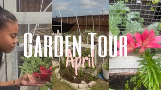Texas Spring Garden Tour April 2024