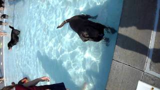SAM_0793.MP4